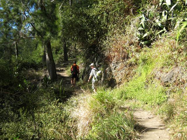 Une idée du sentier de la Brèche à Roche Plate