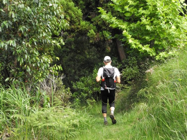 Début de la descente sous les platanes, eucalyptus et cryptomerias