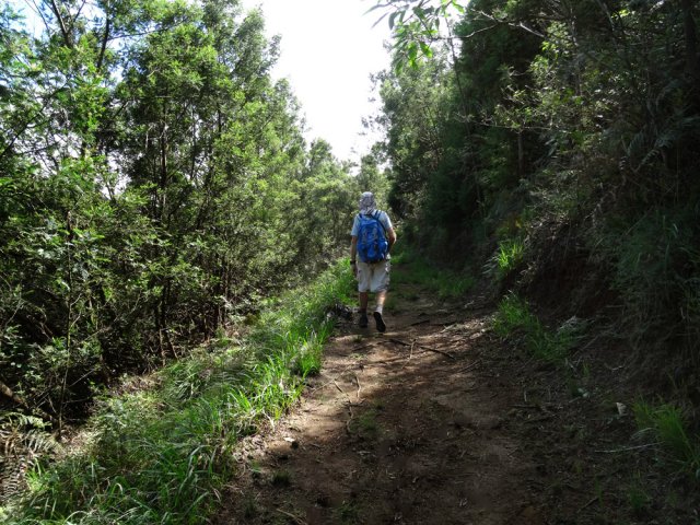 A la fin du sentier on chemine sur l'herbe