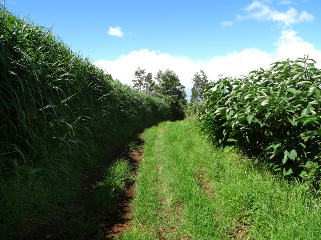 La piste de retour vers le point de départ