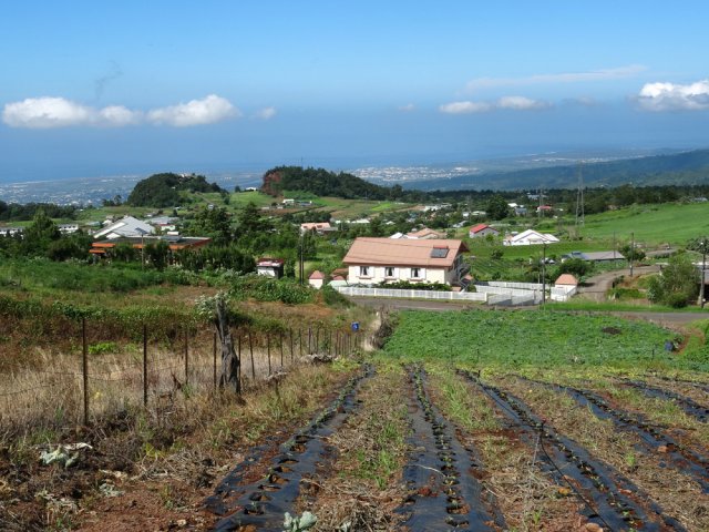 Zone de cultures maraîchères avec vues sur l'océan