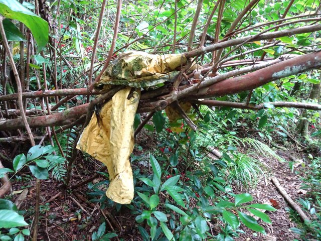 Le très vieux ciré jaune sert encore de point de repère
