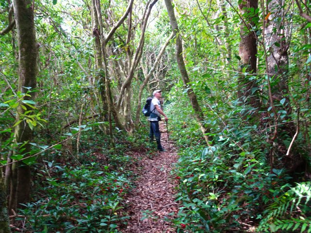 La descente est faible et la marche plus aisée que de l'autre côté