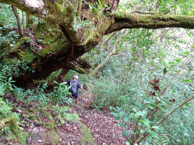 Attention à la glissade sur les parties très pentues