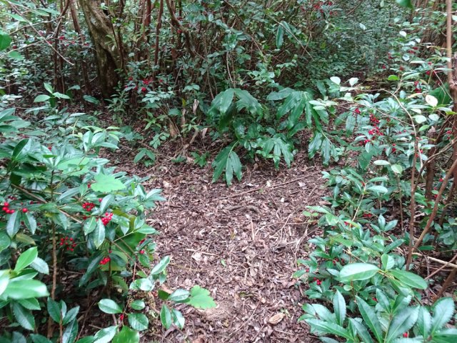 Prendre le deuxième croisement de sentier