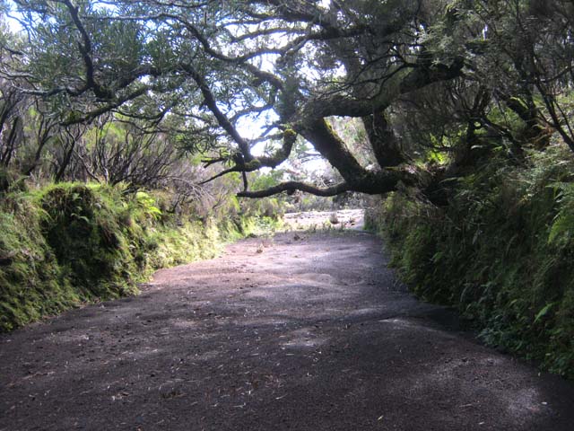 La Ravine du Piton Haüy dans sa partie sableuse
