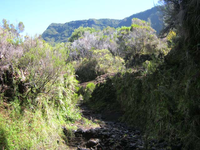 La Ravine du Piton Haüy dans sa partie encaissée