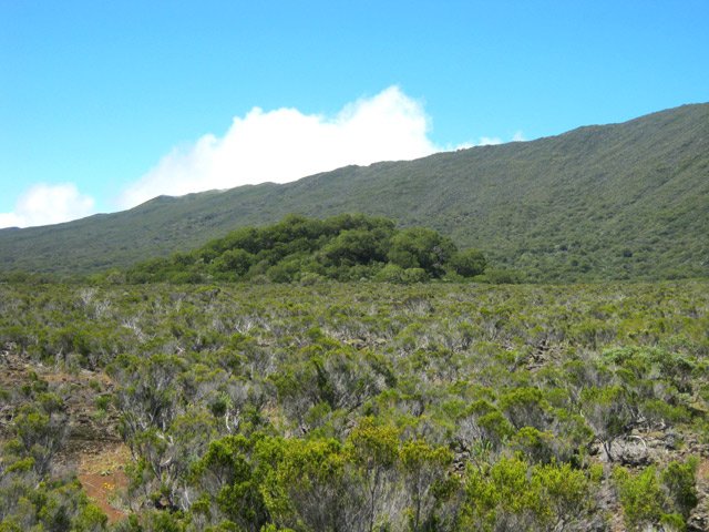 Pour retrouver le chemin du retour, le Piton Coco servira de point de repère