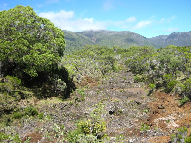 D'autres passages s'effectuent sur plaques de basalte incultes
