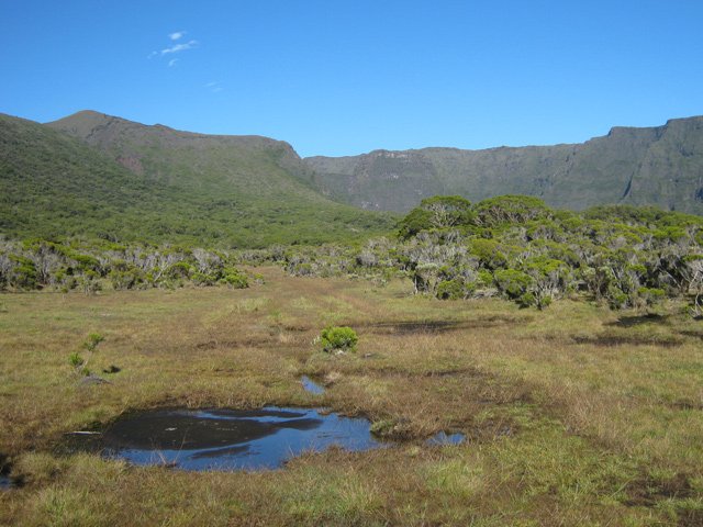 Quelques flaques et de la boue au fond de la Rivière de l'Est