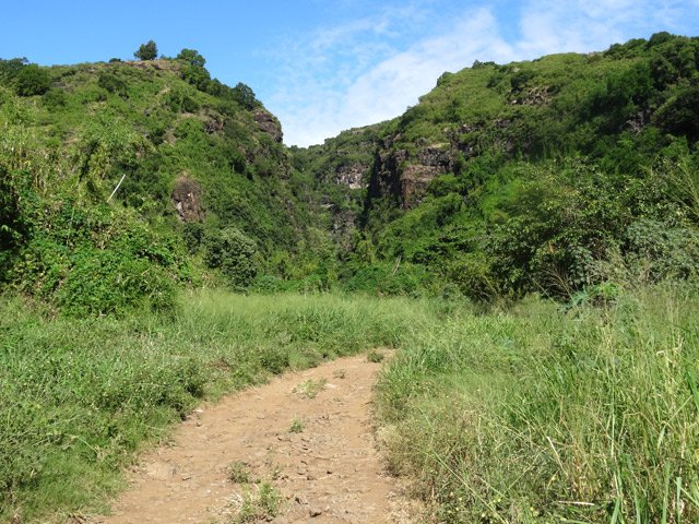 La piste en début de parcours