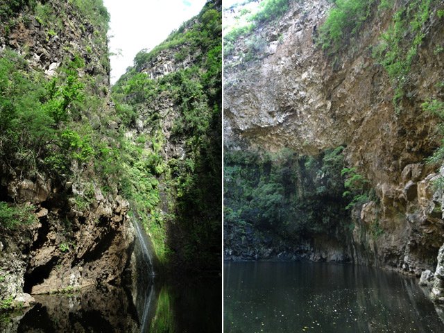 Les hautes falaises sont surtout habitées par les pigeons