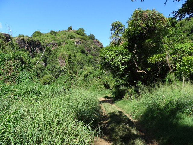 La même piste un peu plus loin. Les herbes sont déjà hautes
