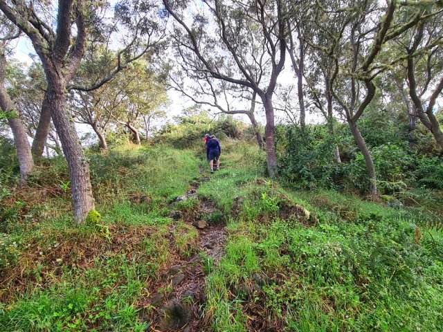 Les premiers mètres du sentier du Piton Rouge