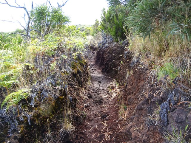 Le sentier du Piton Rouge est caillouteux ou creusé dans la terre
