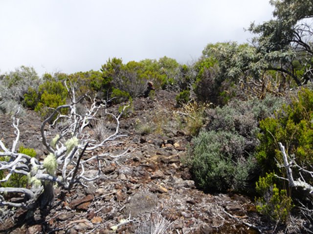 Les nombreux cairns facilitent la recherche des meilleurs passages
