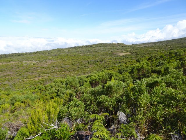 Point de vue depuis le sommet du Piton Vera