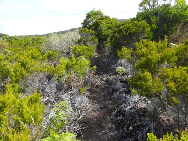 On retrouve pourtant de belles portions d'un sentier "lontan"