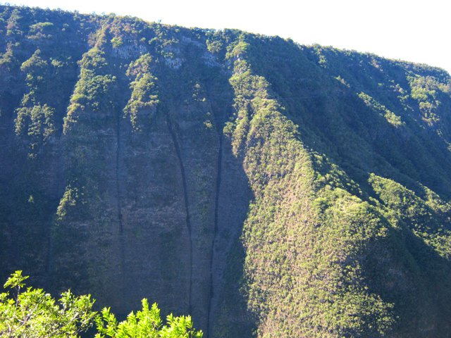 La falaise striée de ravines entre les îlets Techer et Boulon