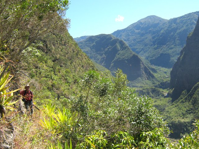 Point de vue jusqu'à Grand Bassin et au Coteau de Cendres