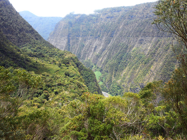 Vue d'ensemble du plateau de l'Îlet Marron et de la vallée du Bras de la Plaine