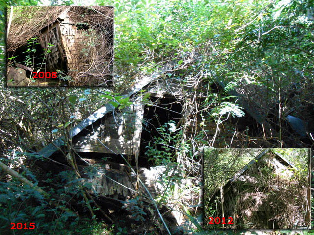 La case de bardeaux sera bientôt invisible