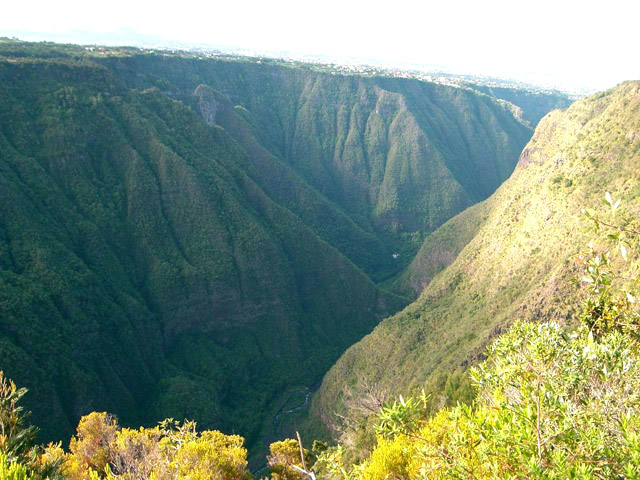 Une autre vue du Bras de la Plaine en aval