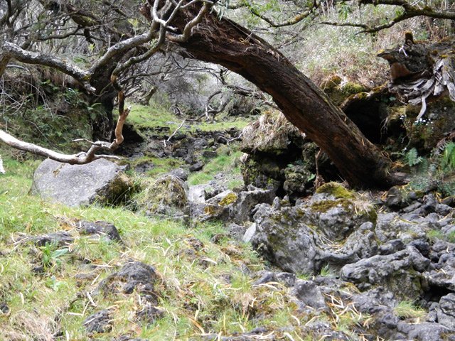 L'arrivée à la Ravine Savane Cimetière
