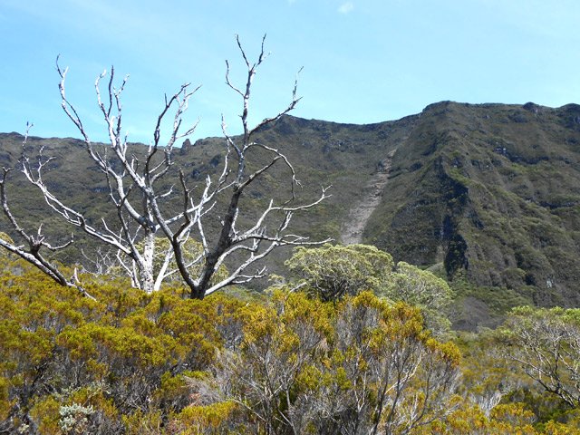 Le rempart proche du Piton de la Rivière de l'Est