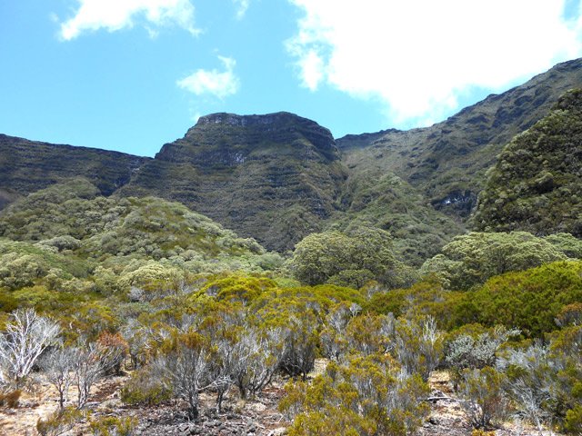 Superbes panoramas sauvages sur le Plateau des Basaltes