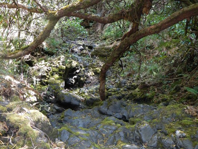 Le sentier de remontée étant proche, on peut quitter le fond rocheux de la ravine