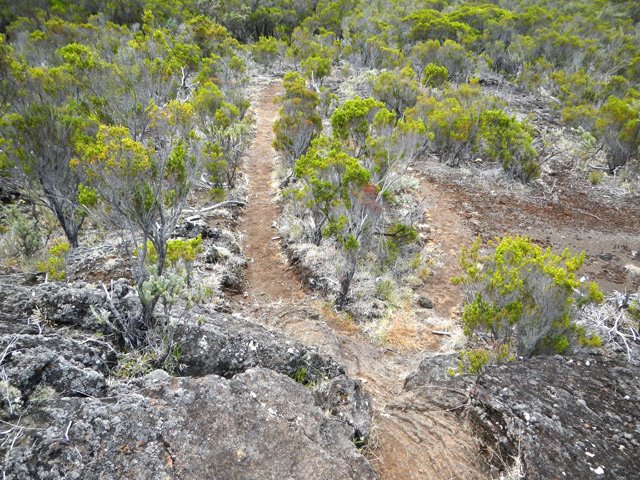Un sentier très facile à suivre