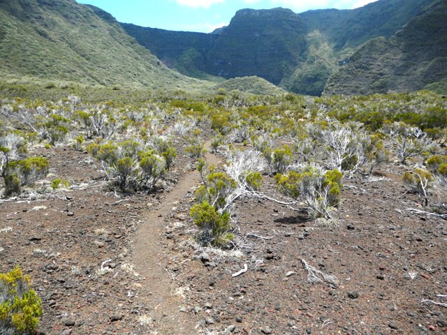 A nouveau de magnifiques petits sentiers agréables à suivre dans la végétation rase