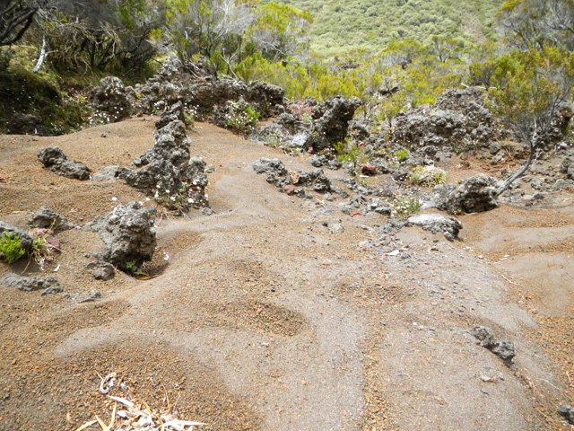 Quelques zones sableuses où le pied s'enfonce