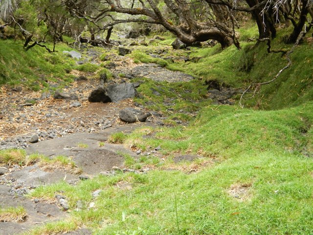 Un fond de ravine idéal pour la pause casse-croûte