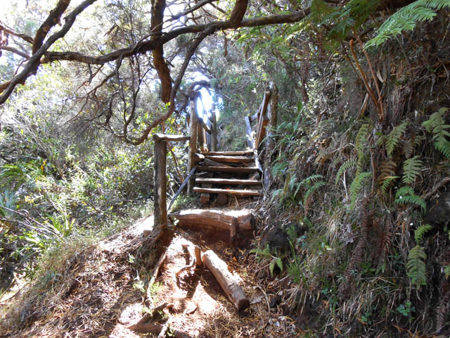 La passerelle sur le sentier du Cassé de la Rivière de l'Est
