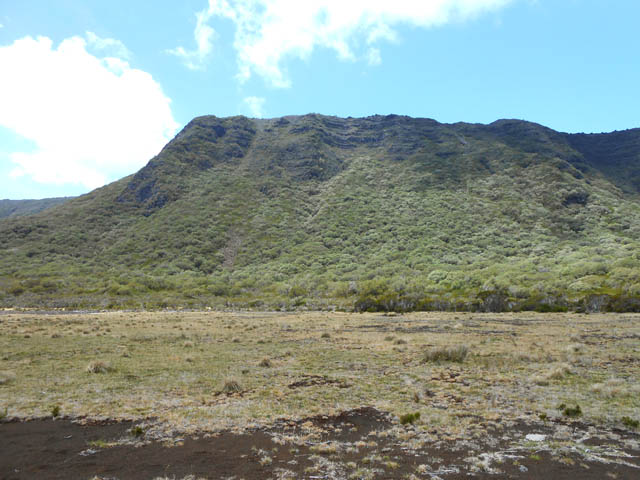 Une toute petite partie de la Plaine de la Savane du Rond