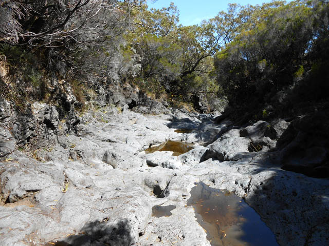 1000 mètres de descente dans le lit de la Ravine du Piton Haüy