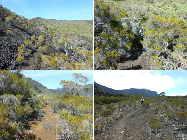Deux vues du sentier des vaches vers le Piton Rond (haut) et Ravine Piton Rond (bas)