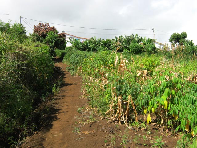 Les premières maisons de Bras Mouton après 500 mètres de montée