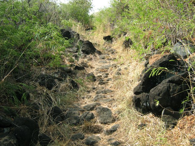Beaucoup de cailloux au début