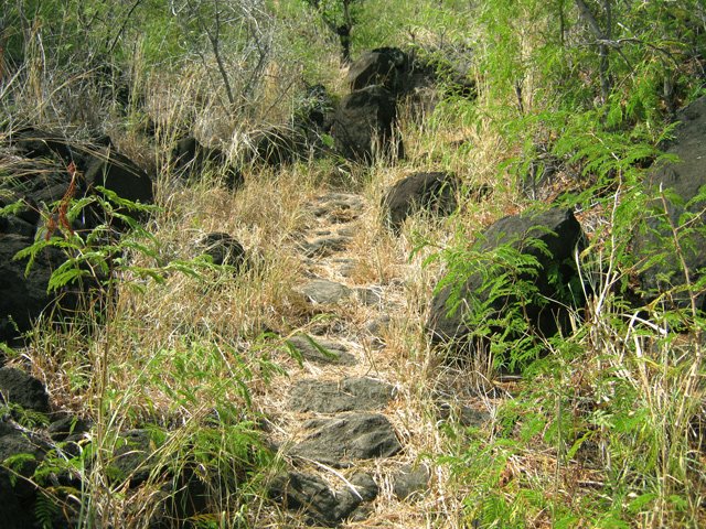 On retrouve des traces de pavages anciens bien conservés