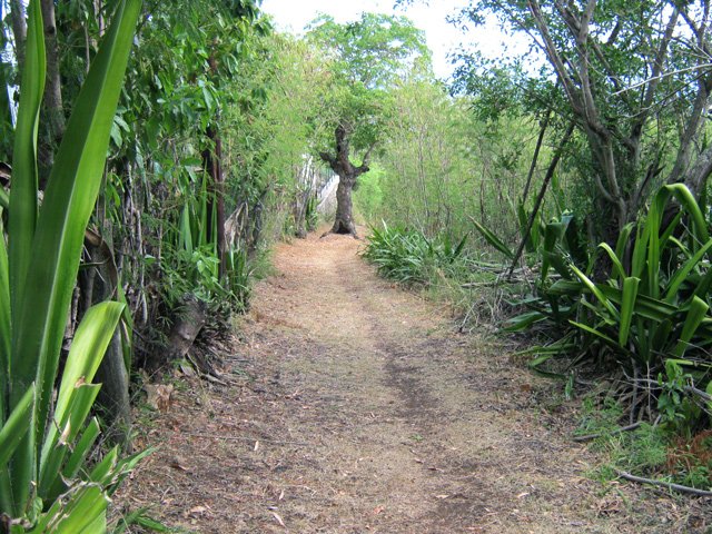 Un des raccourcis en terre des lacets de la route des Colimaçons