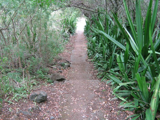 Un autre sous forme de marches en béton