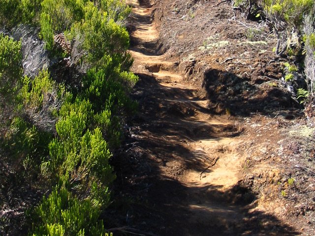 Une idée du sentier, sur des marches glissantes par temps de pluie