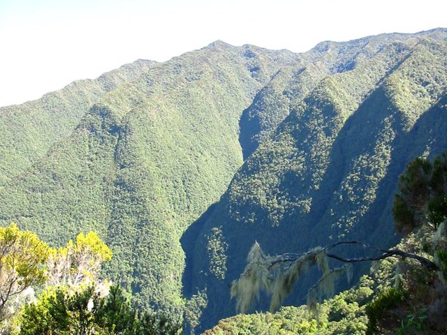 La Crête du Bloc et la Crête du Bras long se rejoignent presque au sommet
