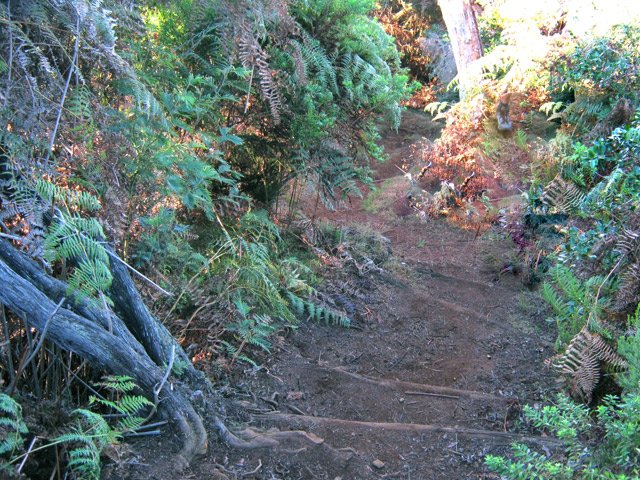 La dernière pente avant le sentier du point de vue du Dimitile