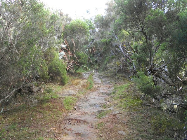 Le sentier humide est toujours glissant ; éviter de courir