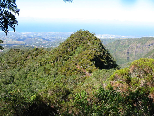 Panorama sur l'Entre Deux et Saint-Louis