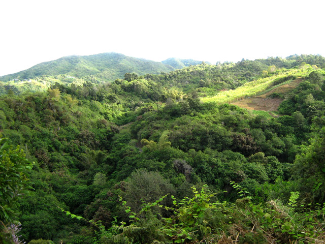 Une des nombreuses ravines du trajet
